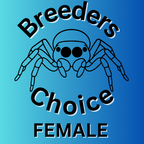 Breeder's Choice (Female)