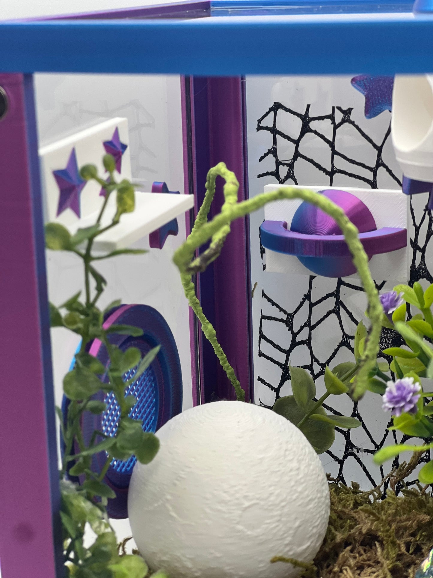 Cosmic Rocket Galaxy Decorated Jumping Spider Enclosure