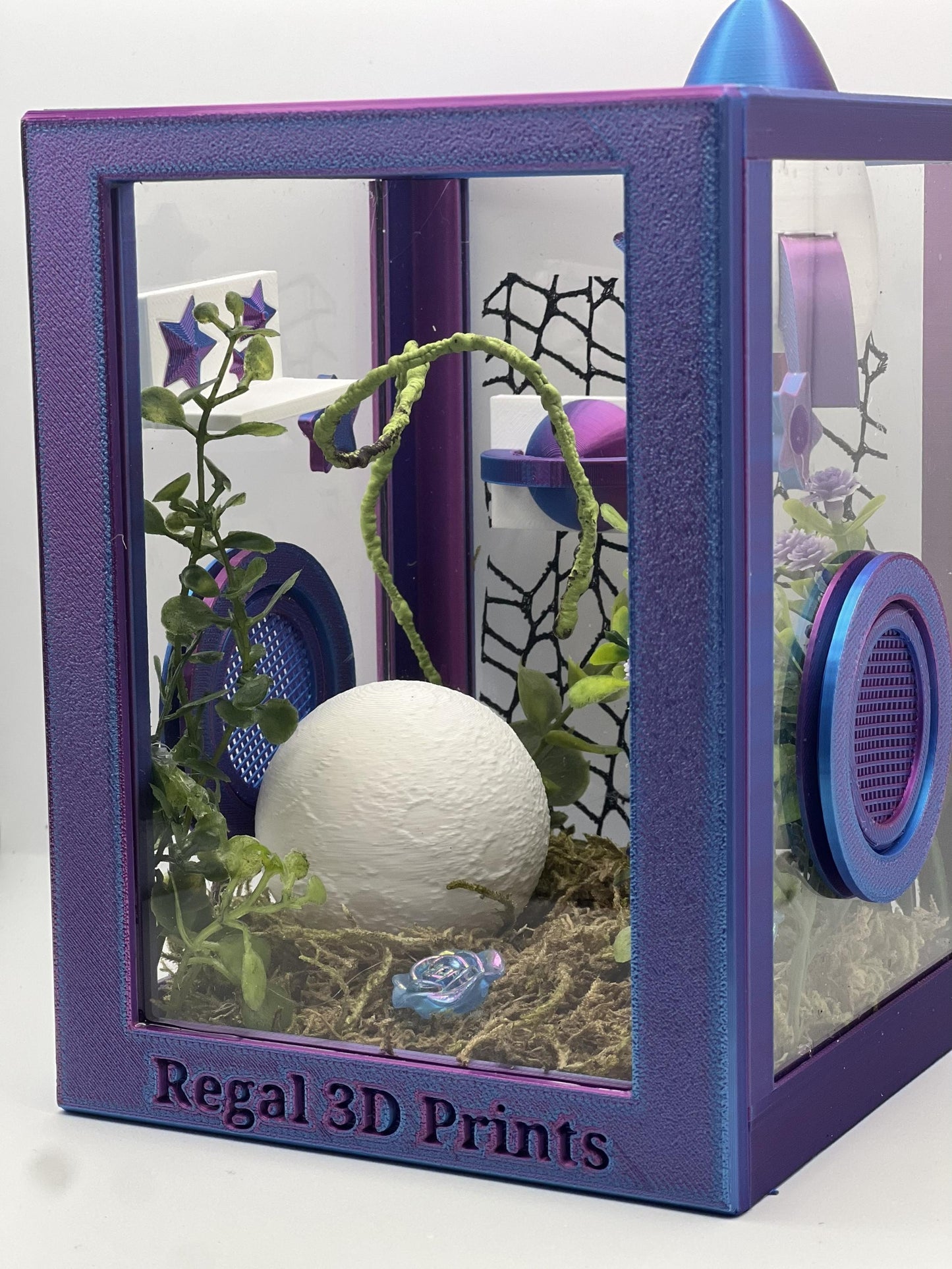 Cosmic Rocket Galaxy Decorated Jumping Spider Enclosure | Habitat