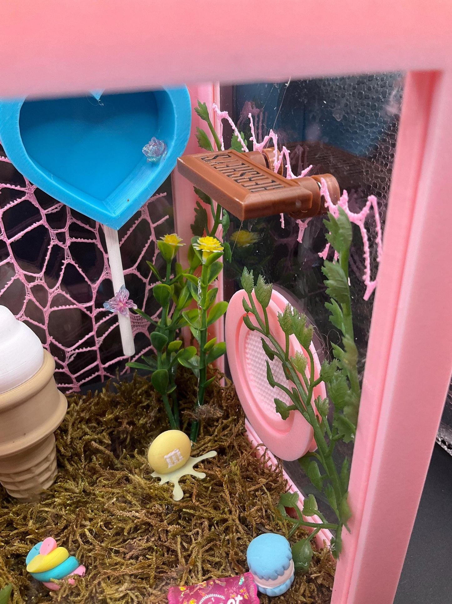 Ice Cream Dream | Candy Themed Decorated Jumping Spider Enclosure