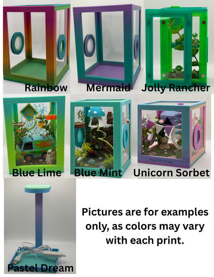 Wizard-Inspired Jumping Spider Enclosure | Habitat