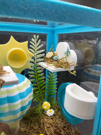 Hot Air Balloon Jumping Spider Enclosure | Habitat