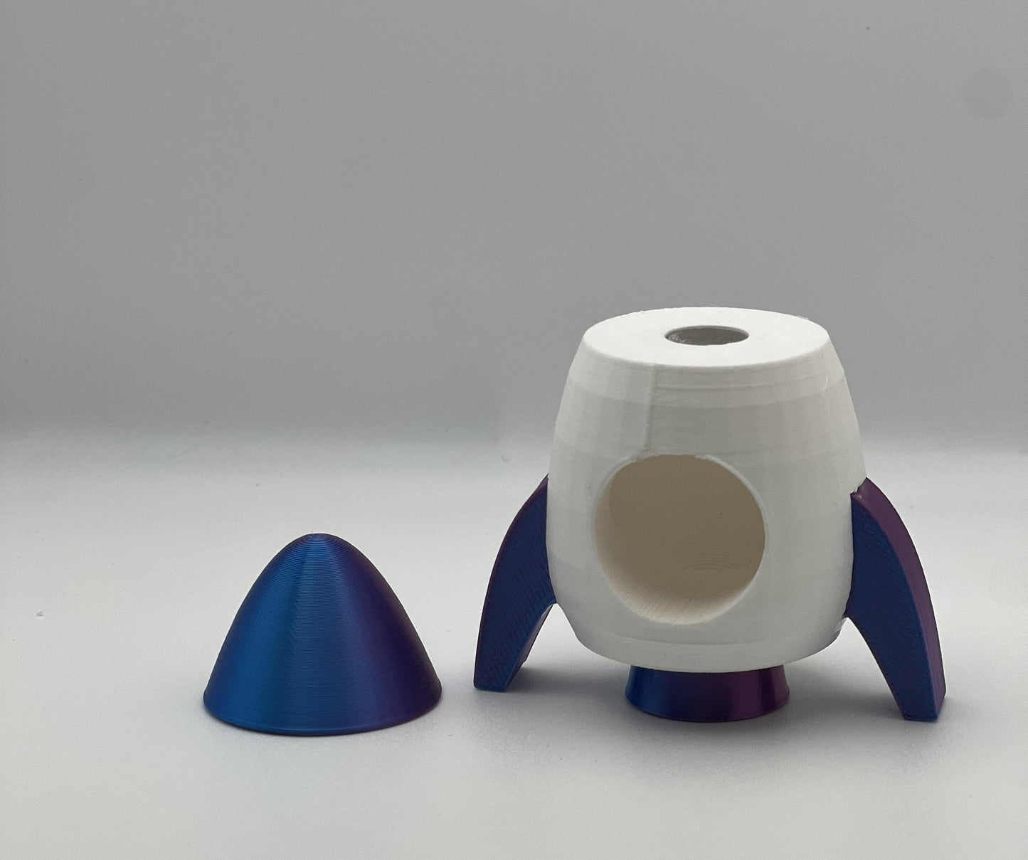 Cosmic Rocket ship Magnetic Jumping Spider Hide