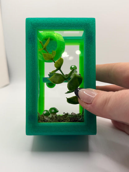 Decorated Jumping Spider Sling Enclosure