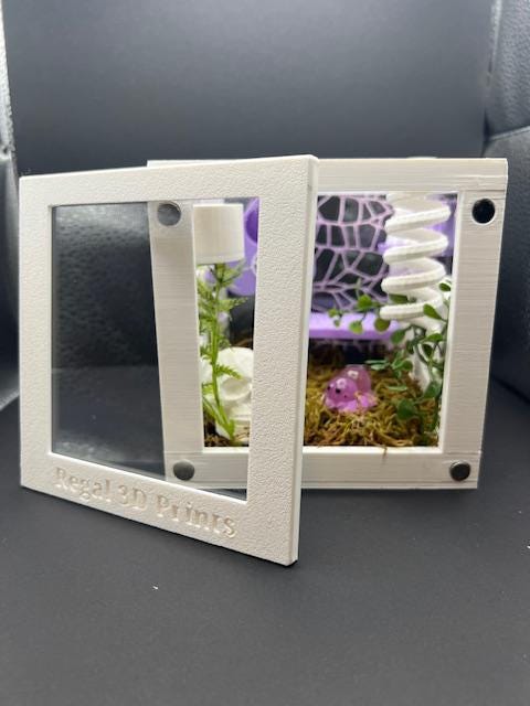 Ouija & Planchette Themed Jumping Spider Enclosure