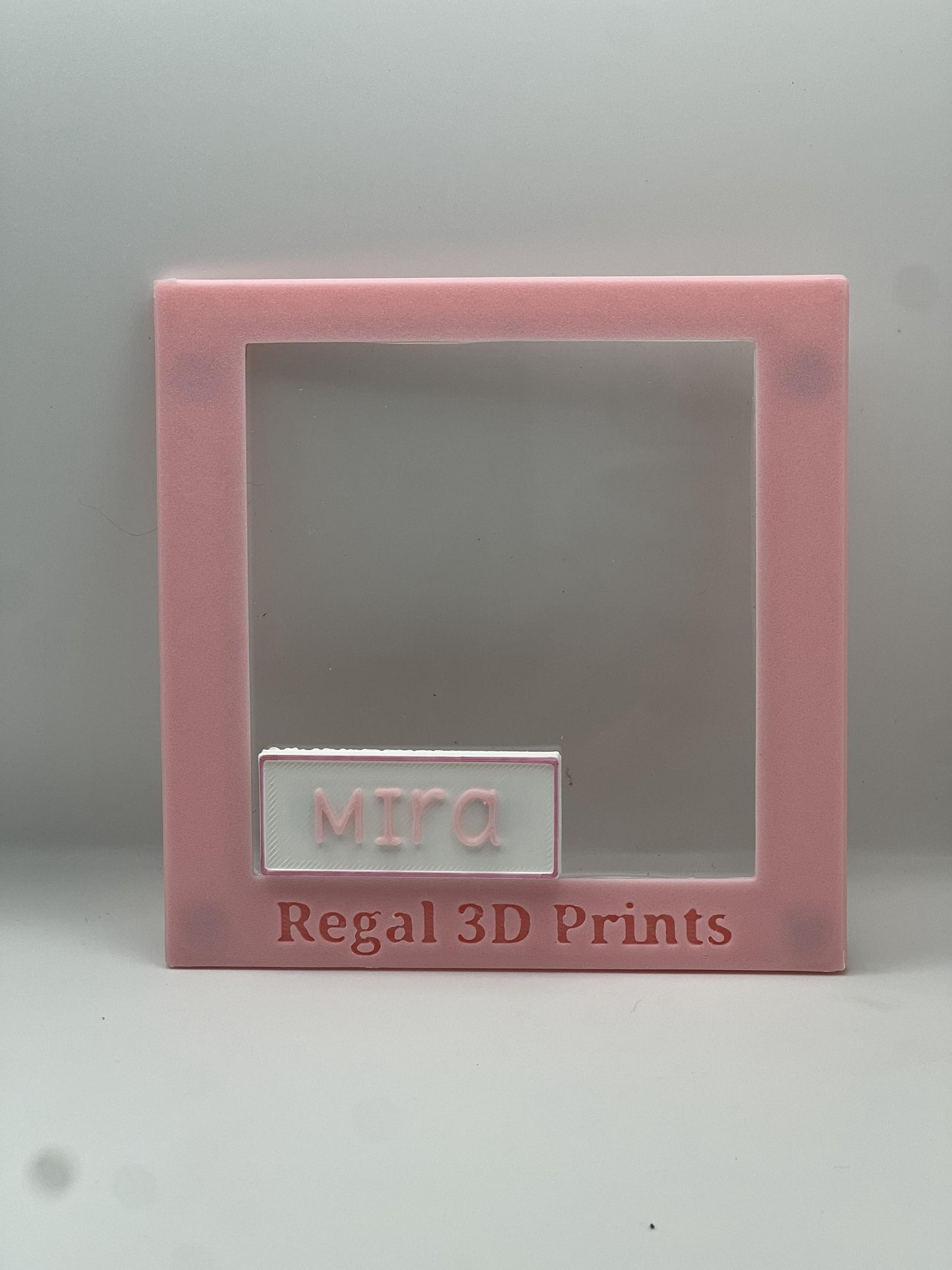 Custom Magnetic Name Plates for Jumping Spider Enclosures