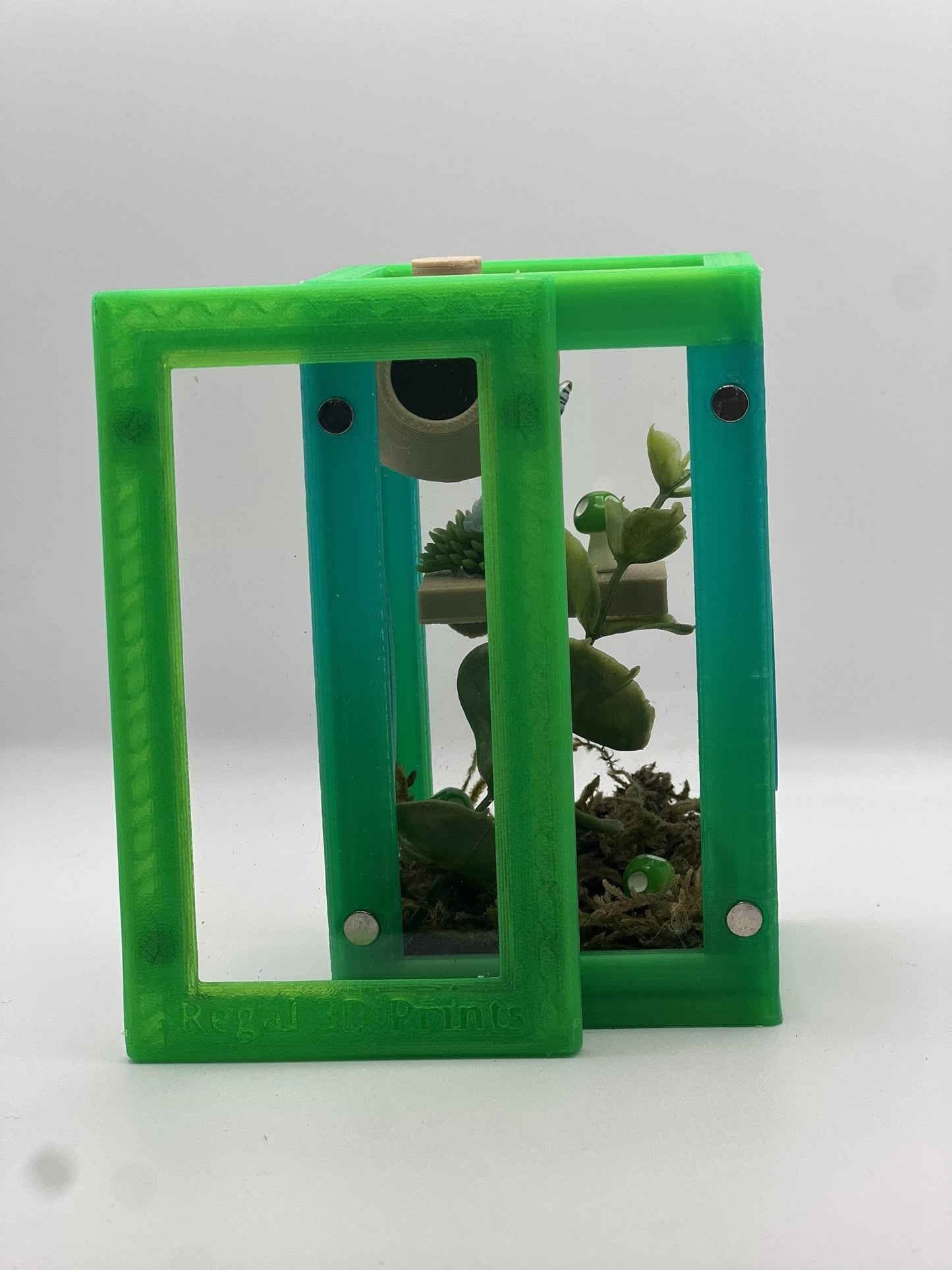 Decorated Jumping Spider Sling Enclosure