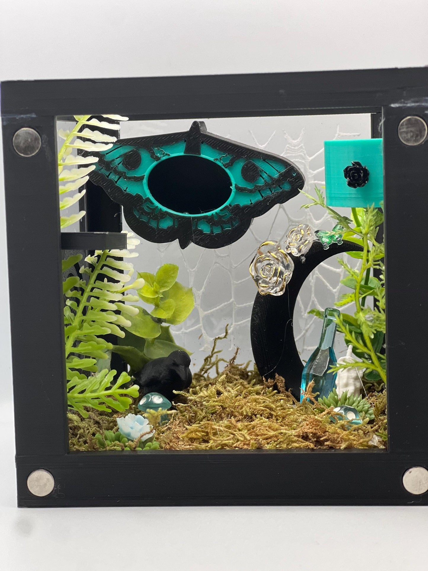 Teal Death Moth Jumping Spider Enclosure – Fully Decorated Gothic Habitat
