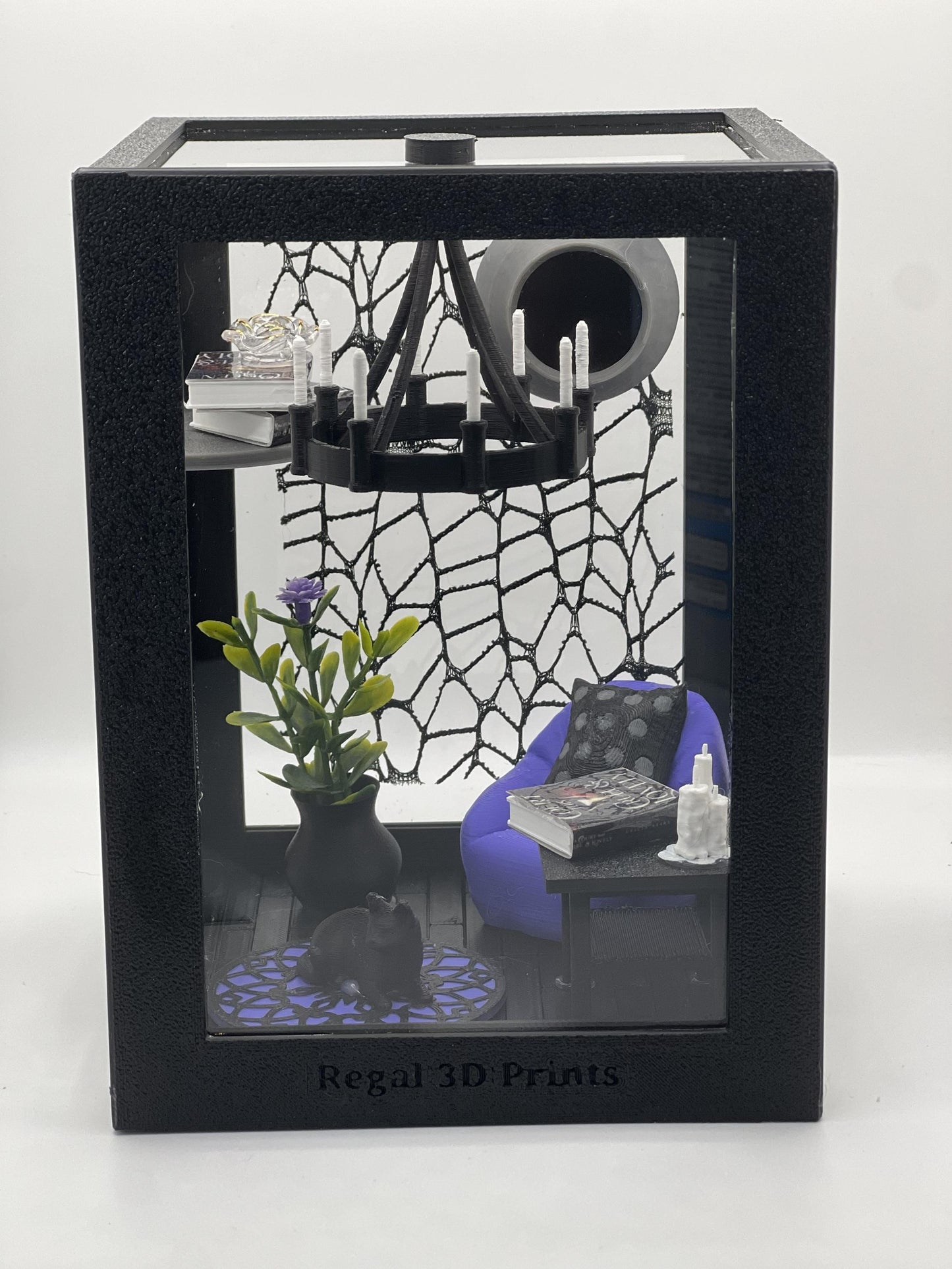 Reading Room Lounge Decorated Jumping Spider Enclosure