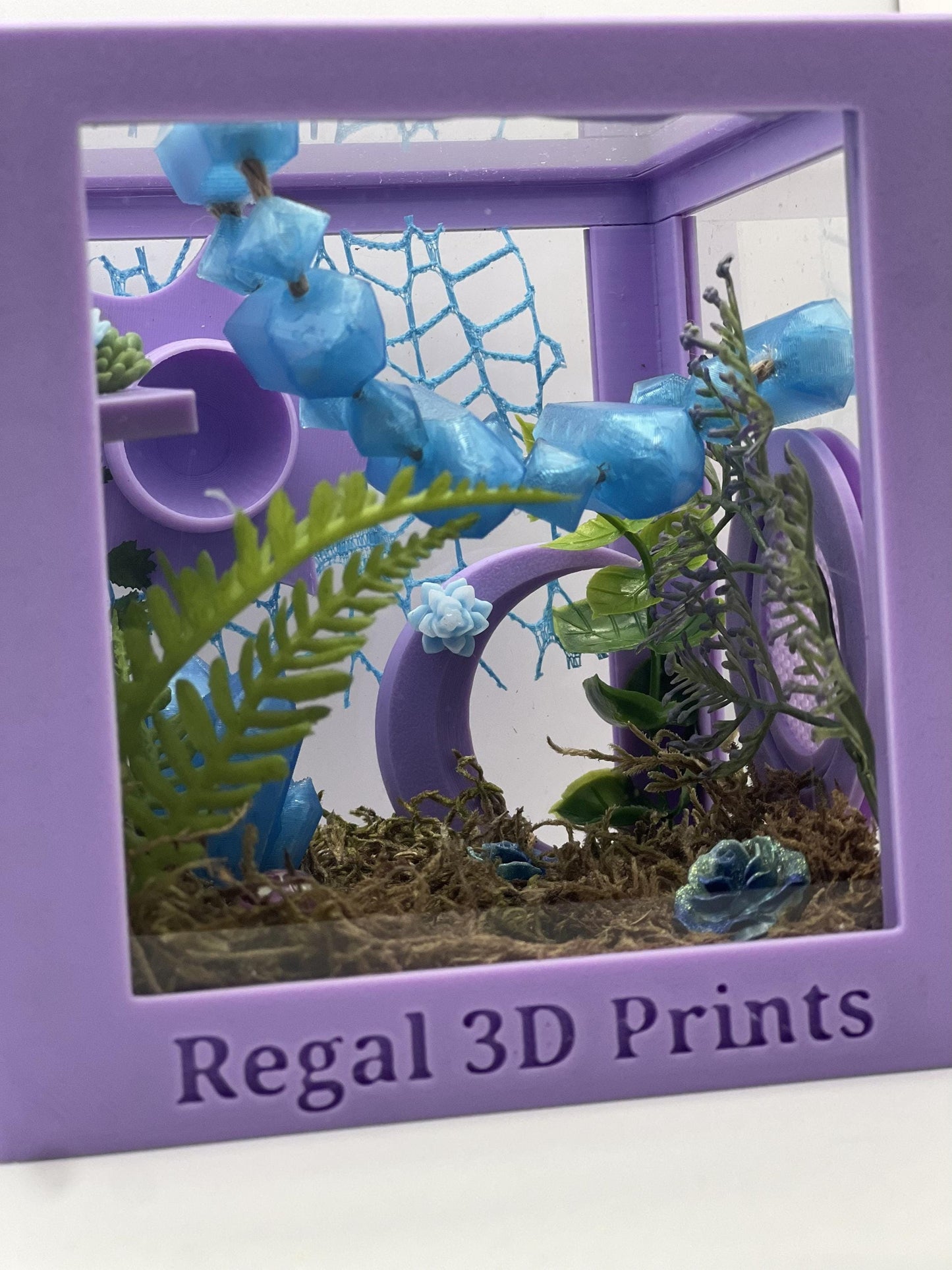 Crystal Cavern Fantasy Jumping Spider Decorated Enclosure | Habitat