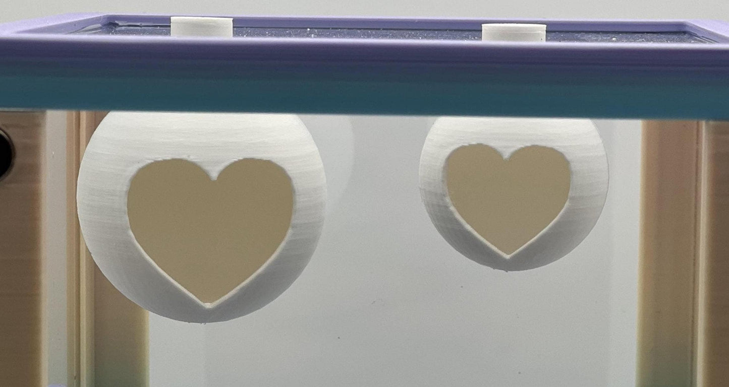 Magnetic Heart Ball Jumping Spider Hides