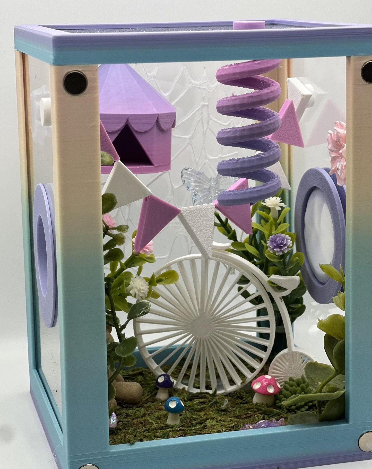 Circus-Themed Jumping Spider Decorated Enclosure | Habitat