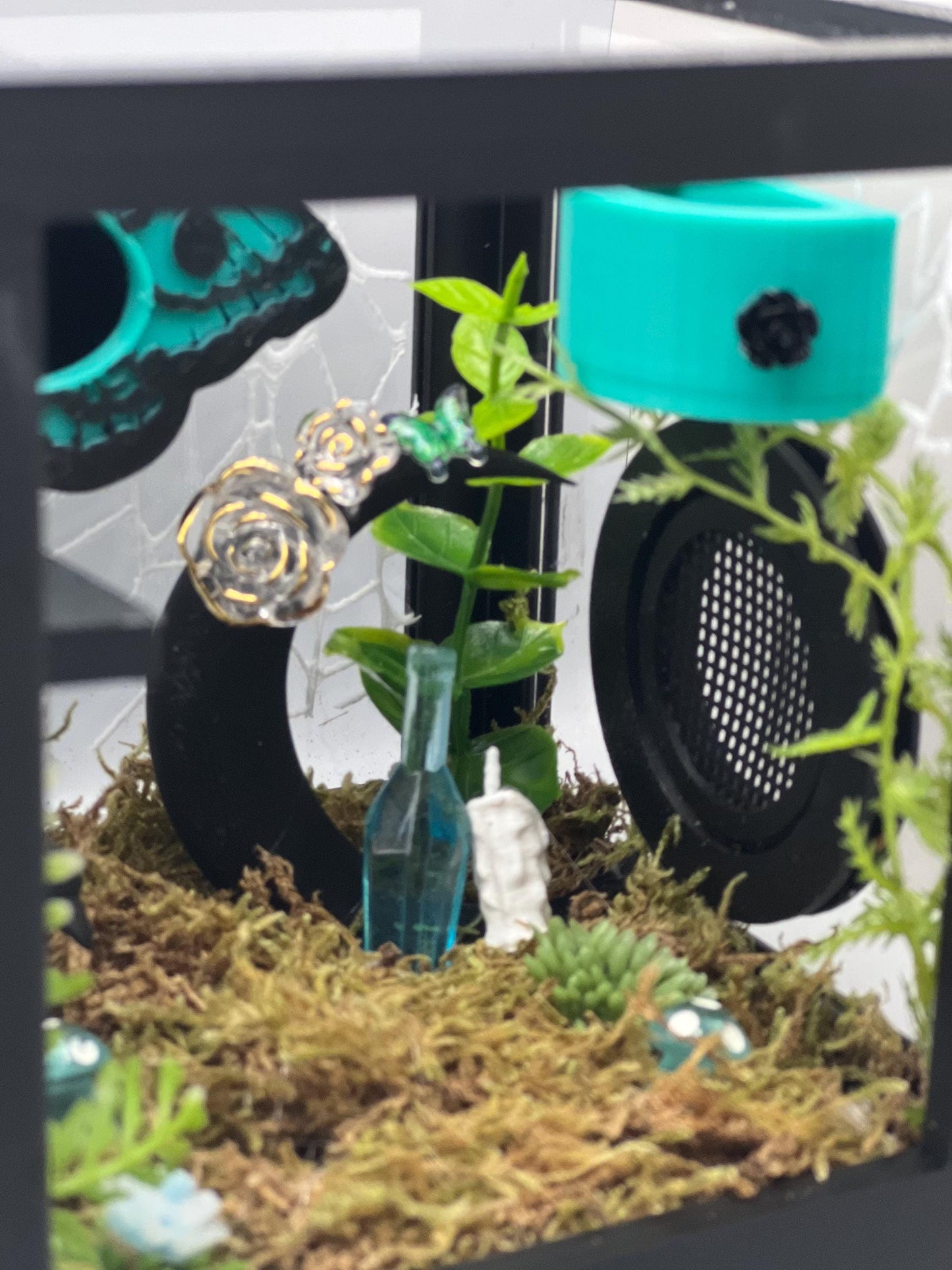 Teal Death Moth Jumping Spider Enclosure – Fully Decorated Gothic Habitat