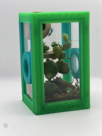 Decorated Jumping Spider Sling Enclosure