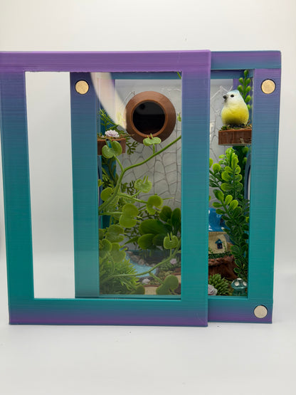Fairy Hollow Jumping Spider Decorated Enclosure | Habitat
