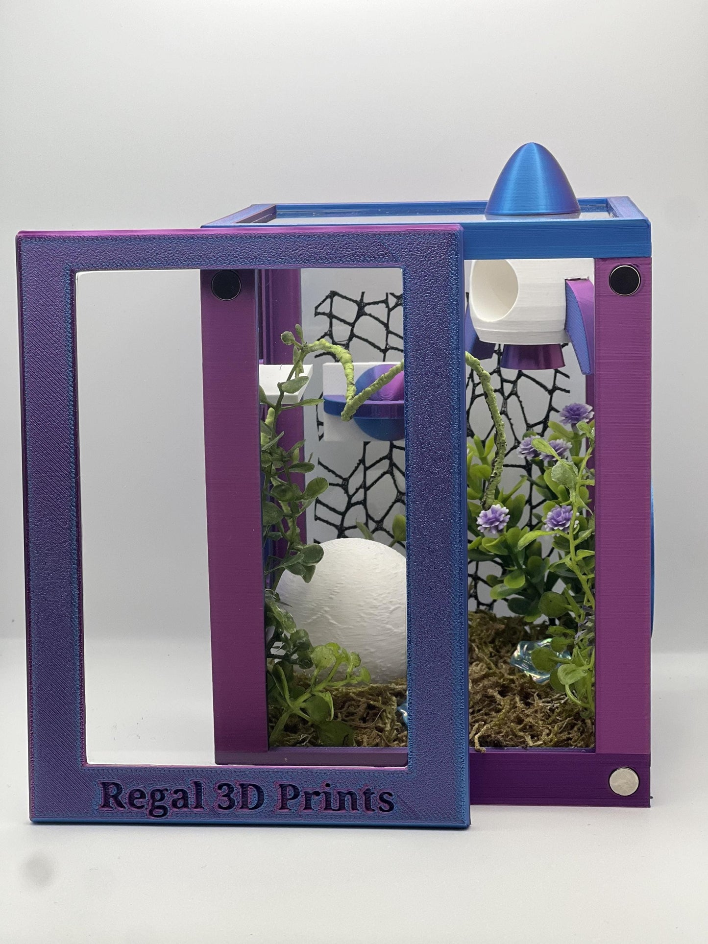 Cosmic Rocket Galaxy Decorated Jumping Spider Enclosure | Habitat