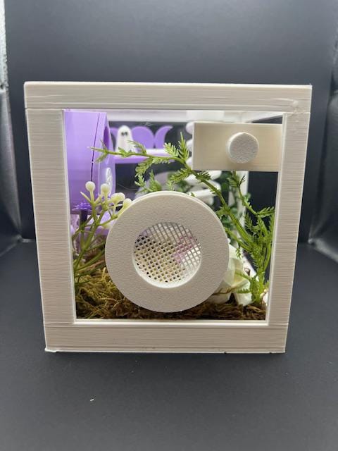 Ouija & Planchette Themed Jumping Spider Enclosure