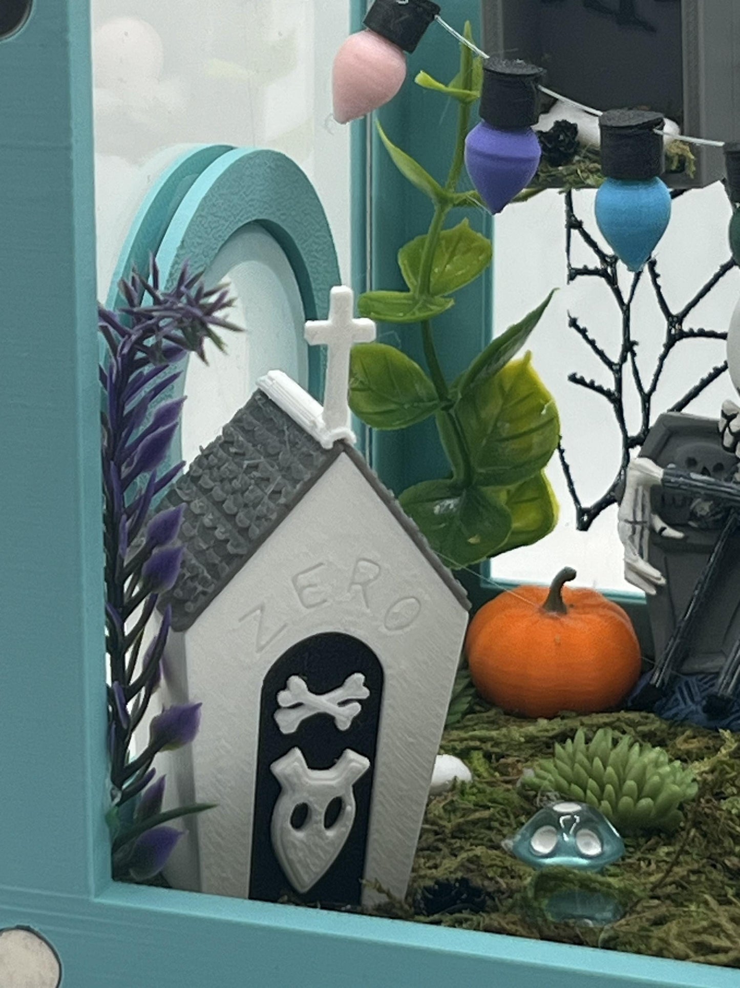 Fully Decorated Jumping Spider Enclosure | Habitat