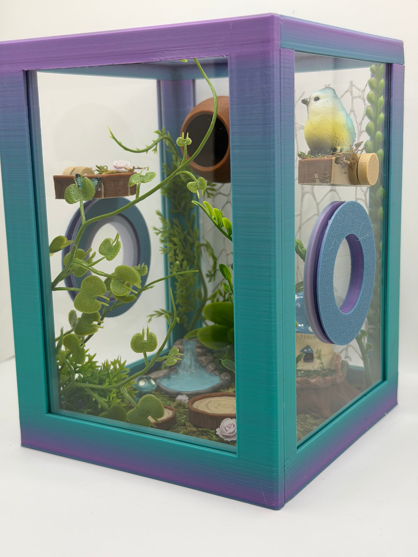 Fairy Hollow Jumping Spider Decorated Enclosure | Habitat