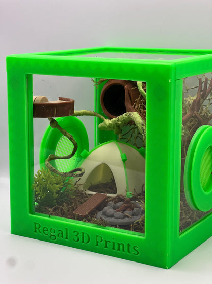 Forest Campout | Camping Decorated Jumping Spider Enclosure | Habitat