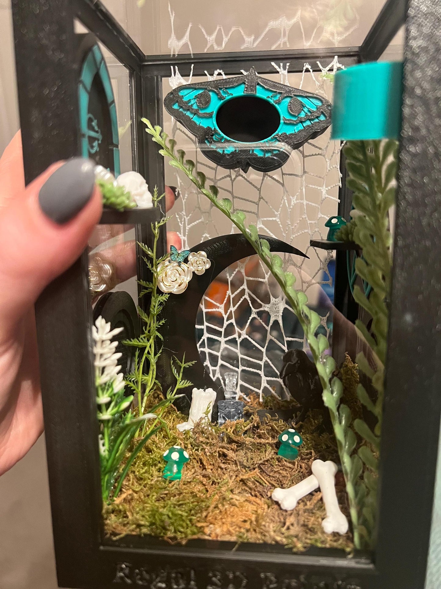 Teal Death Moth Jumping Spider Enclosure – Fully Decorated Gothic Habitat