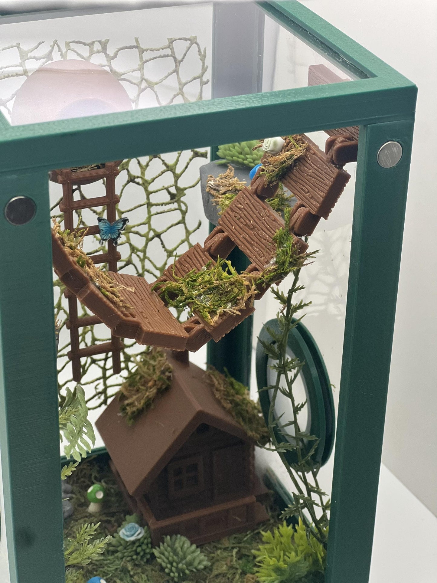 Enchanted Forest Cabin – Fully Decorated Jumping Spider Enclosure | Habitat