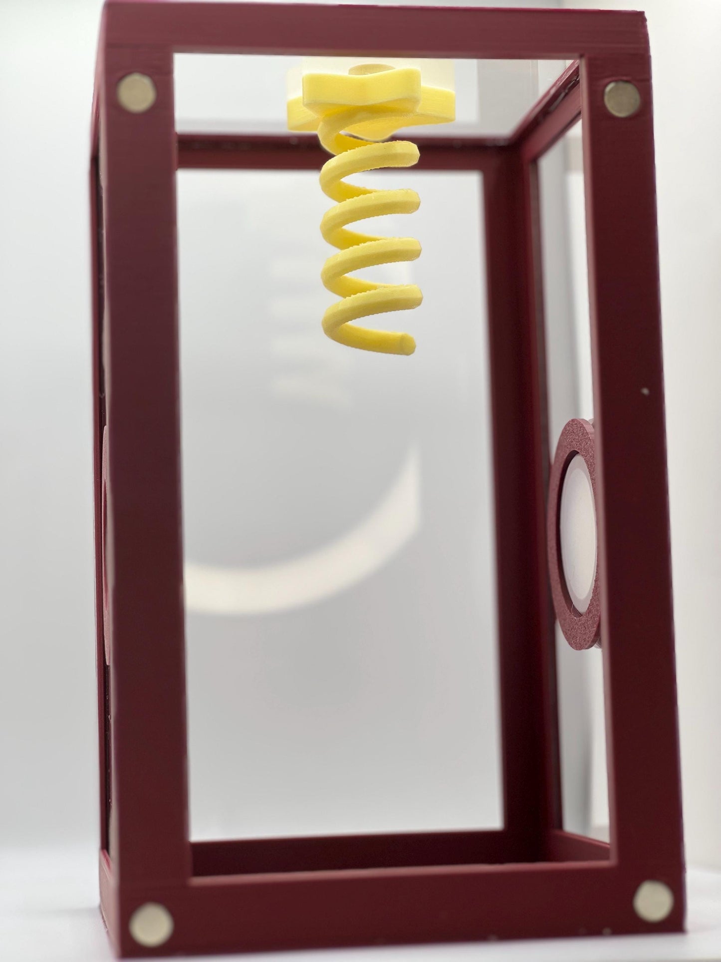 Magnetic Star Spiral Perch Ledge – Hanging Jumping Spider Climber