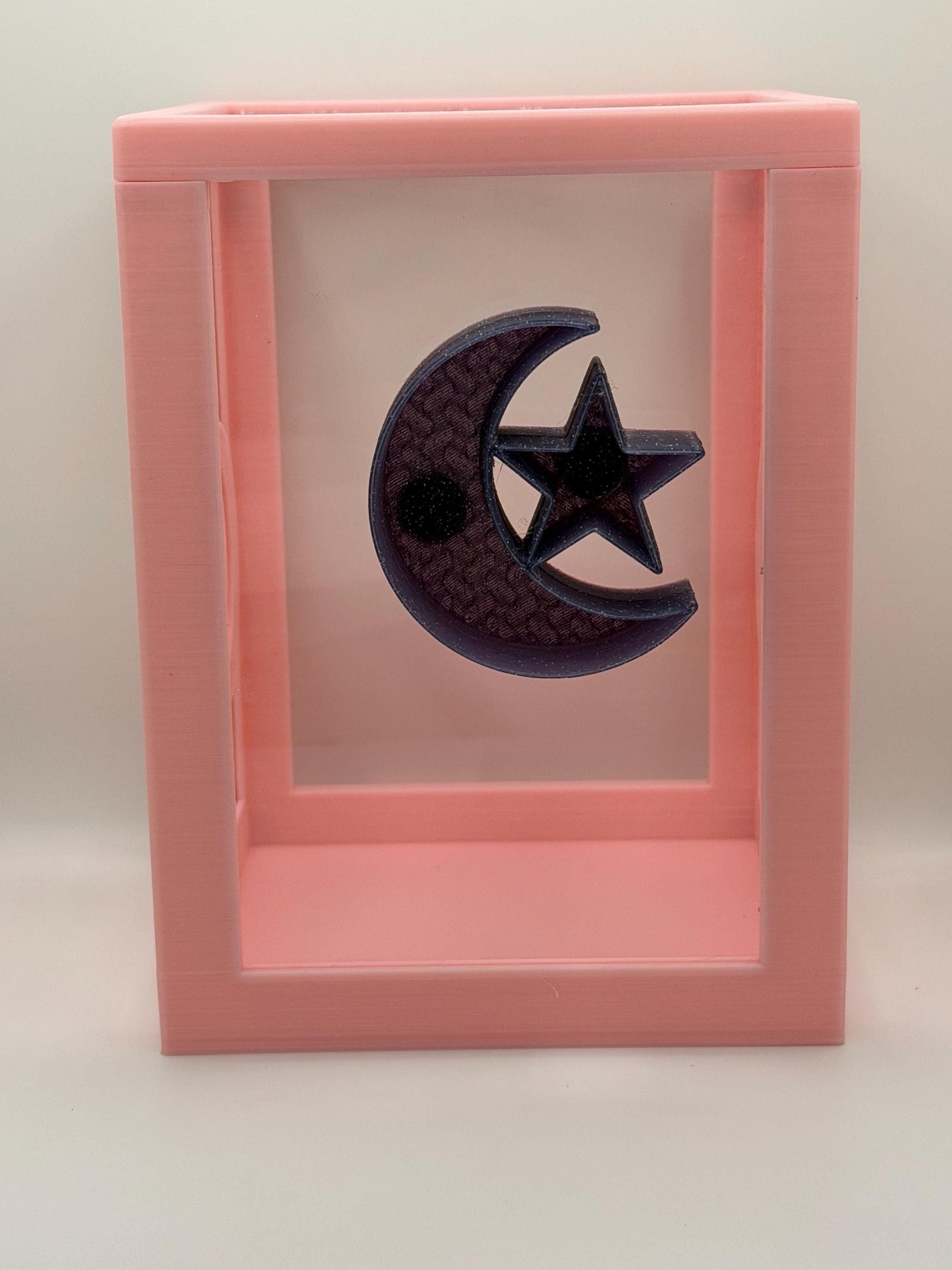 Moon & Star Jumping Spider Magnetic Hide | Decor