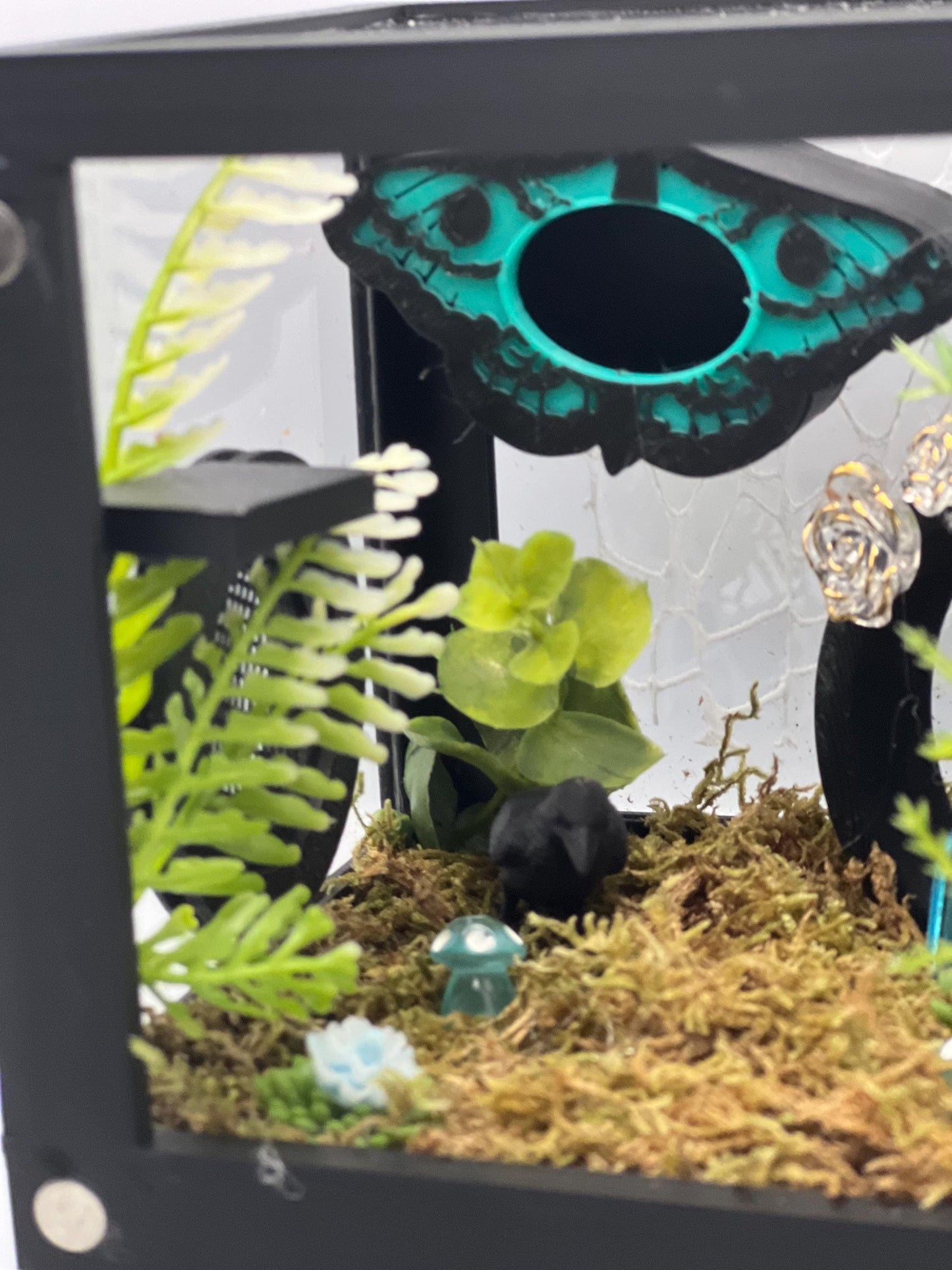 Teal Death Moth Jumping Spider Enclosure – Fully Decorated Gothic Habitat