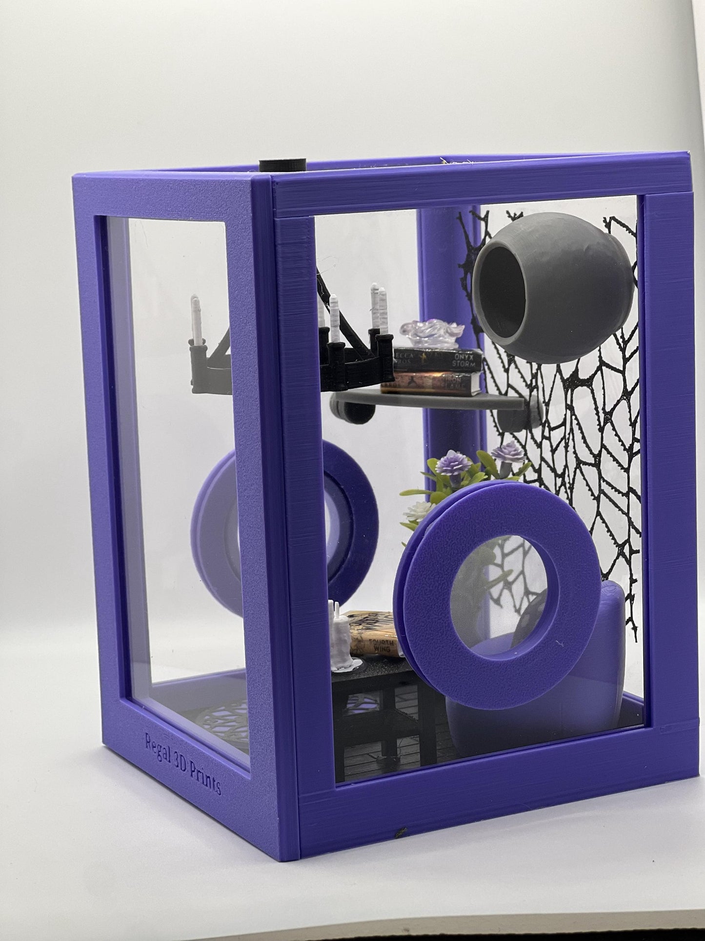 Reading Room Lounge Decorated Jumping Spider Enclosure