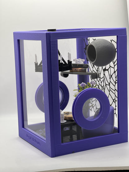 Reading Room Lounge Decorated Jumping Spider Enclosure