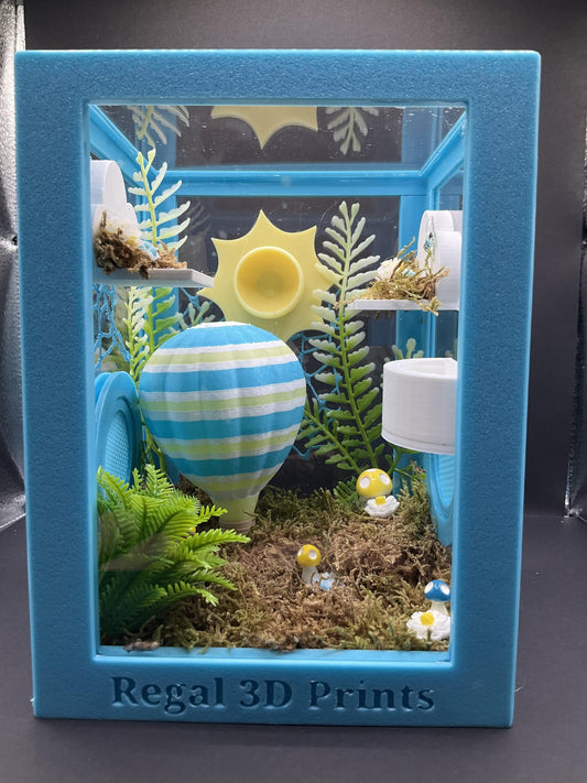 Hot Air Balloon Jumping Spider Enclosure | Habitat