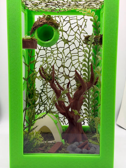 Forest Campout | Camping Decorated Jumping Spider Enclosure | Habitat