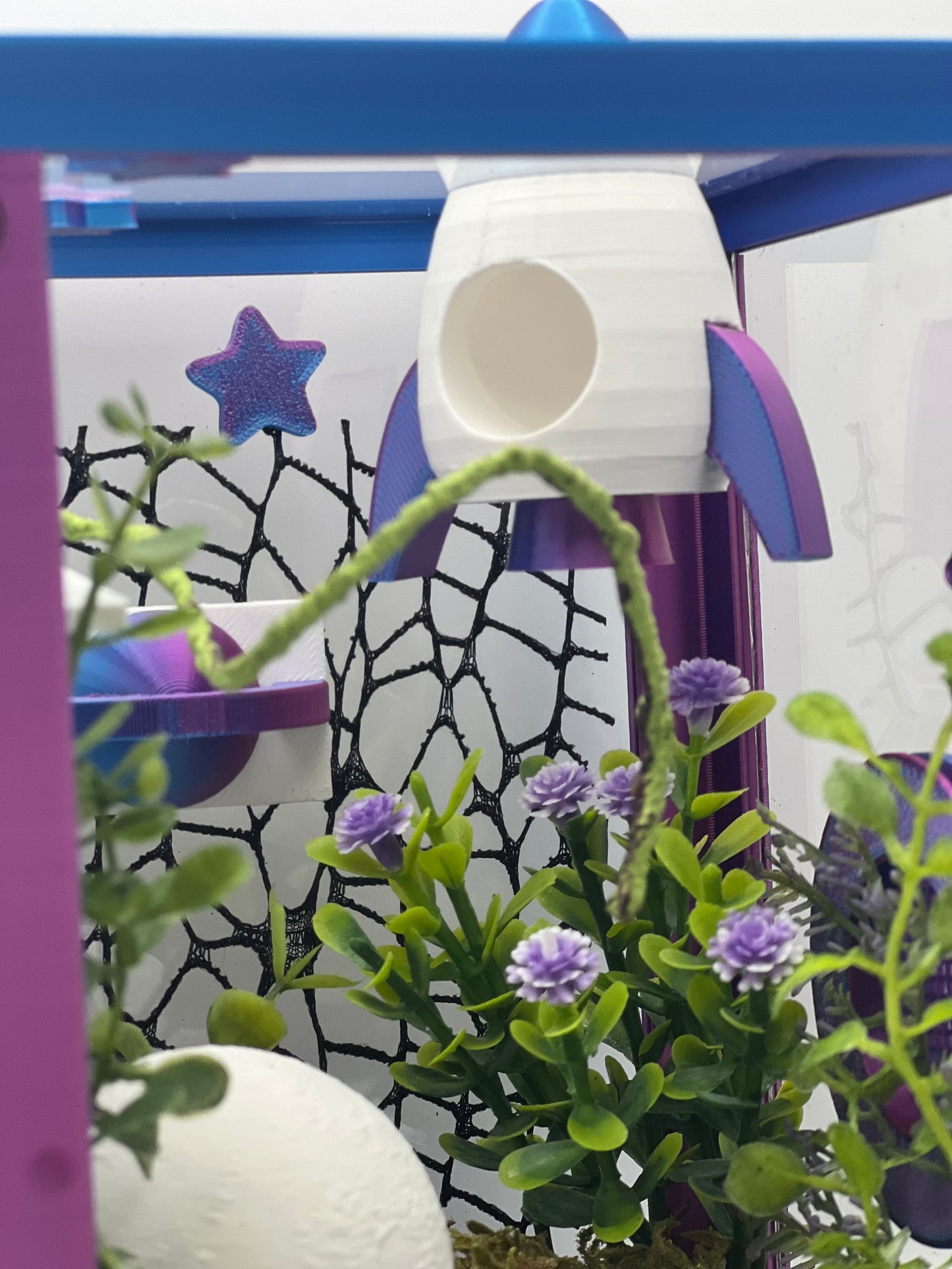 Cosmic Rocket Galaxy Decorated Jumping Spider Enclosure