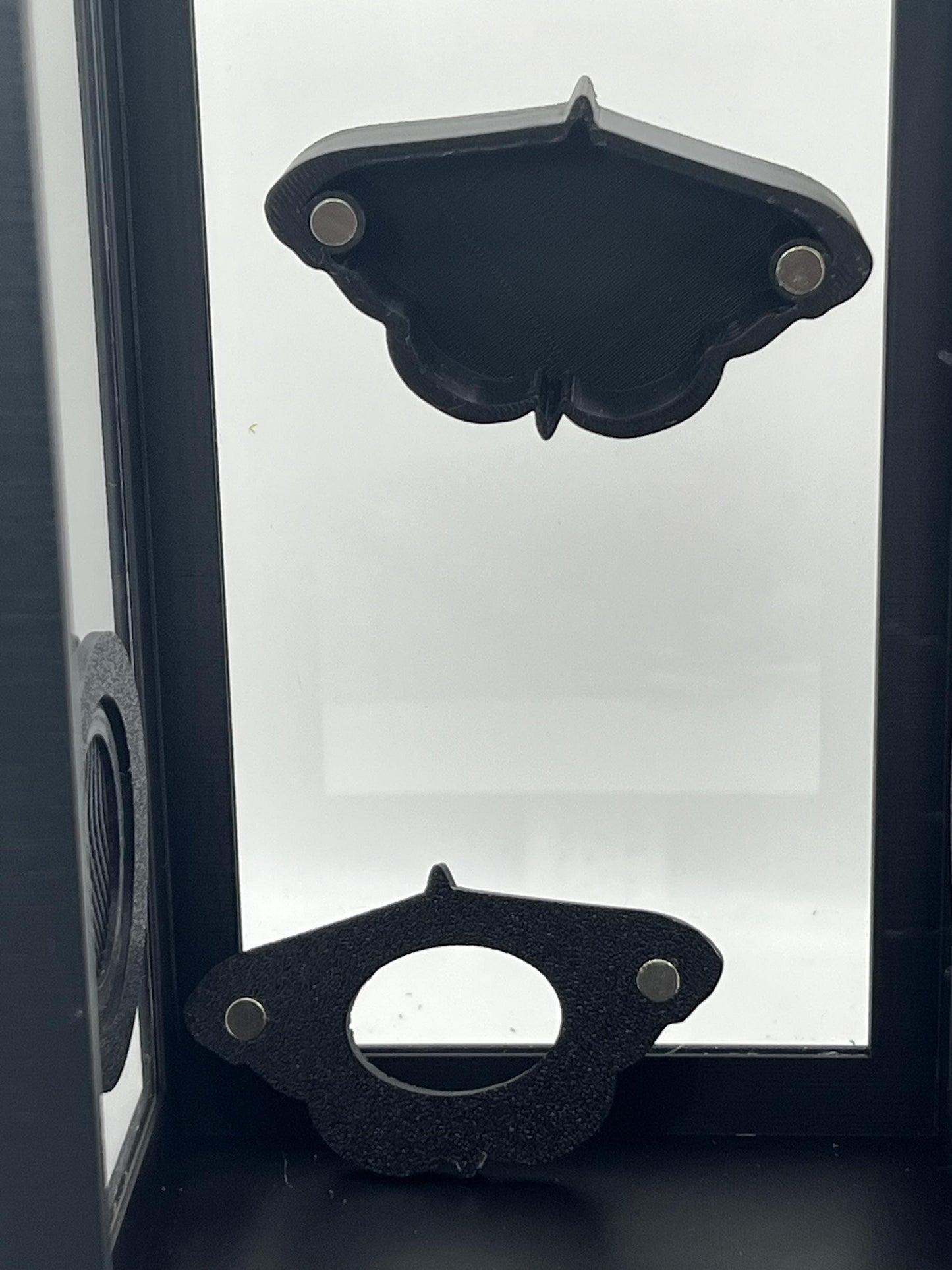 Lacewing Death Moth Hide – Magnetic Jumping Spider Hide