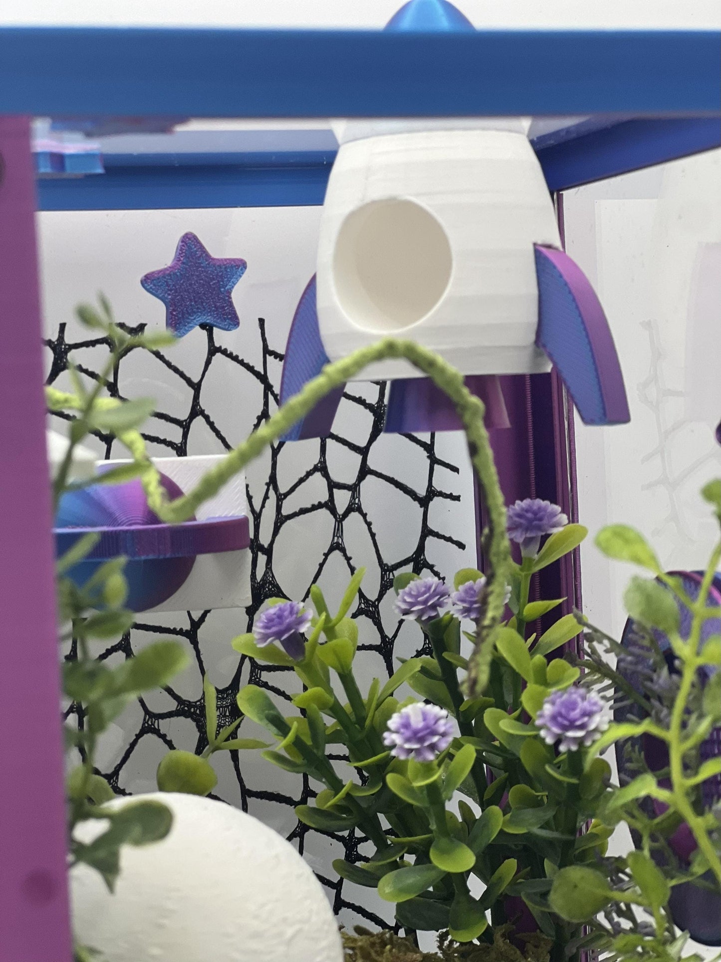 Cosmic Rocket Galaxy Decorated Jumping Spider Enclosure | Habitat