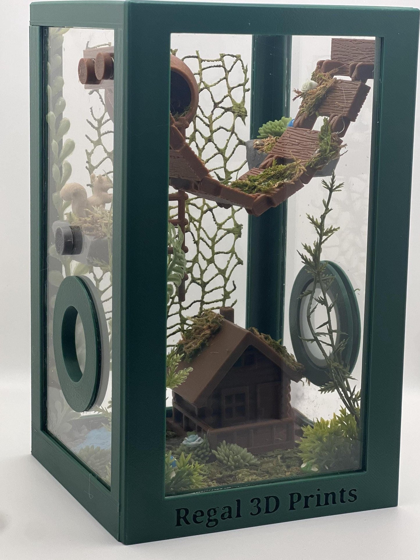 Enchanted Forest Cabin – Fully Decorated Jumping Spider Enclosure | Habitat
