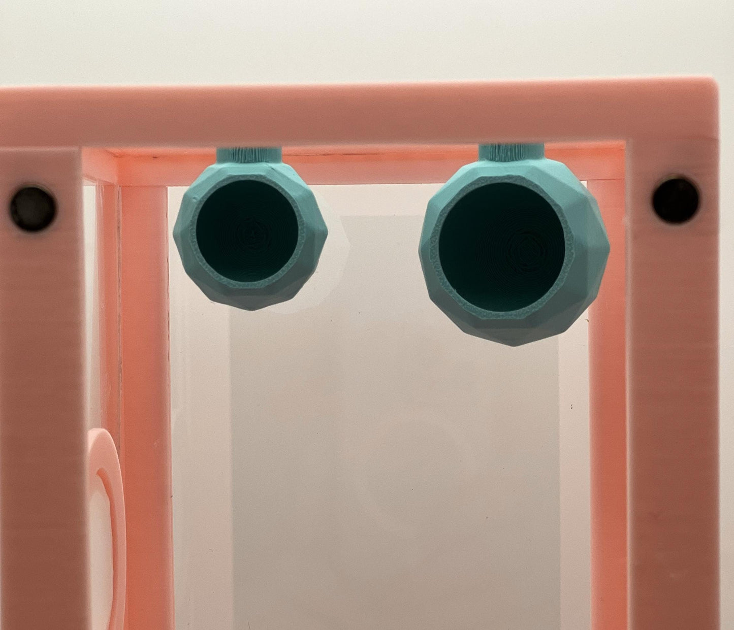 Geometric Jumping Spider Hide | Faceted Jumper Hide for Enclosures