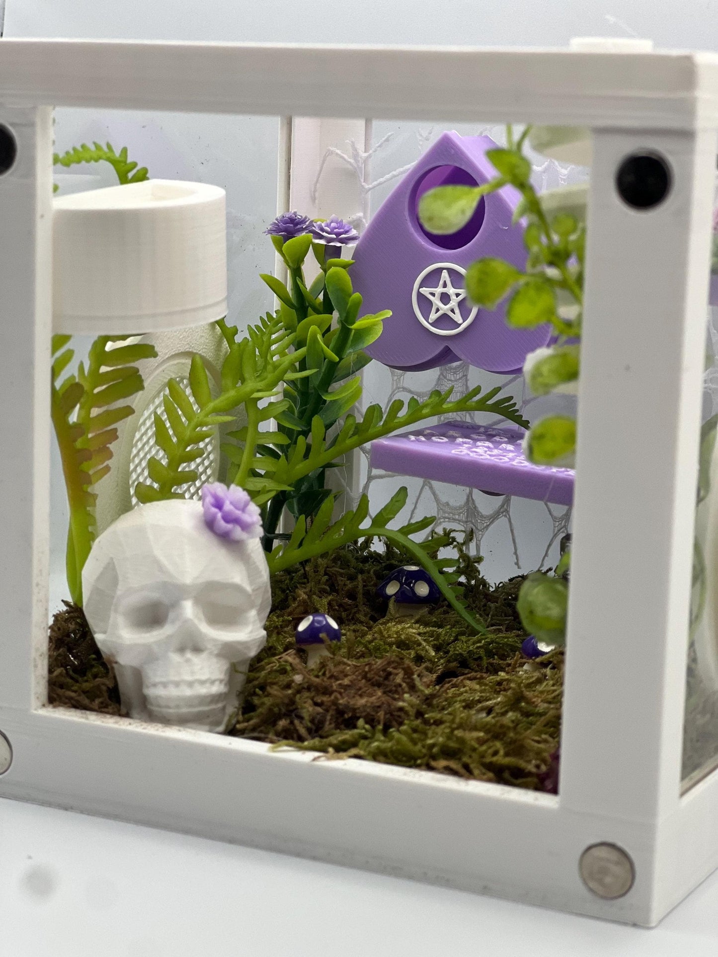 Ouija & Planchette Themed Jumping Spider Enclosure