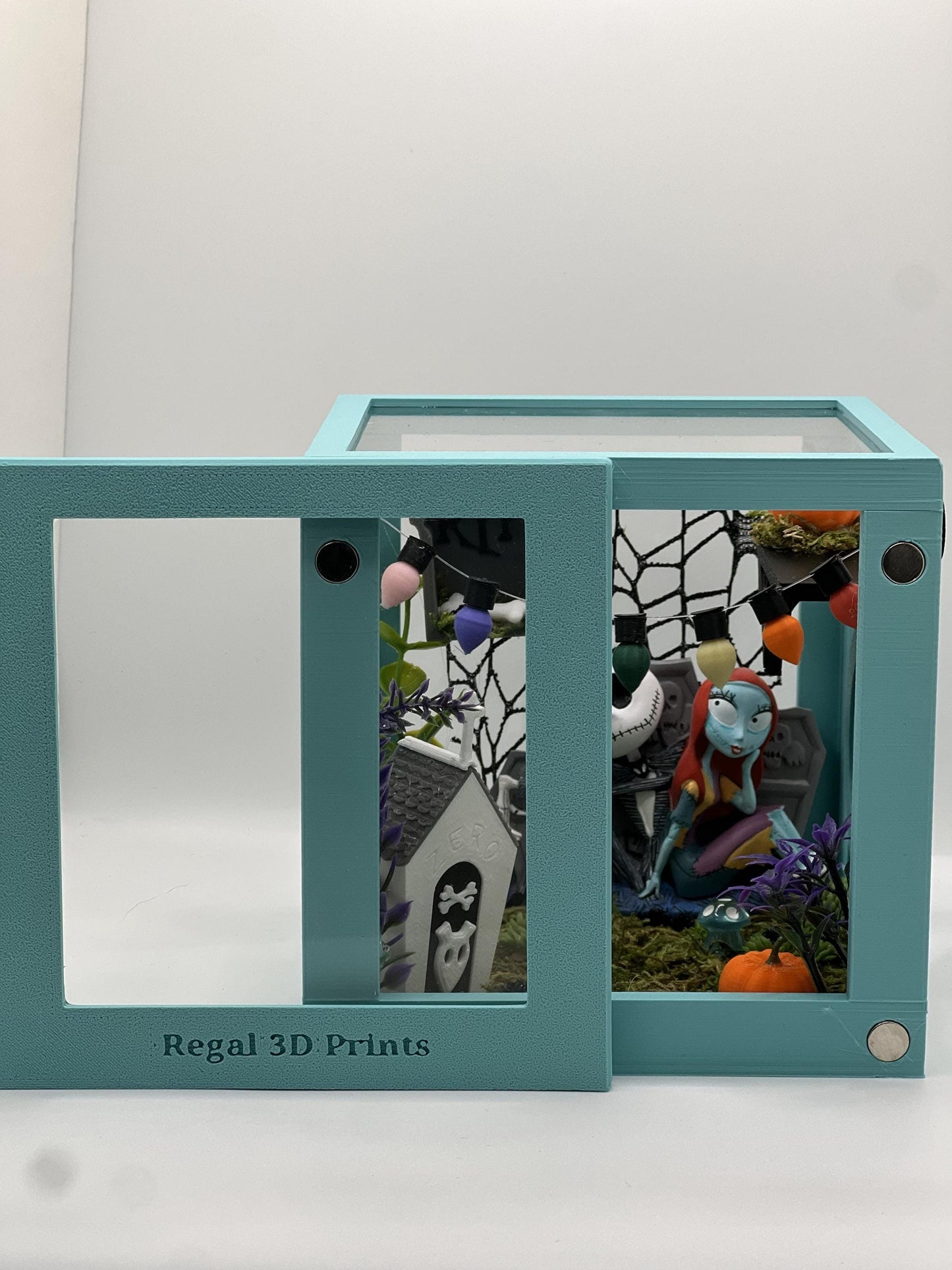 Fully Decorated Jumping Spider Enclosure | Habitat