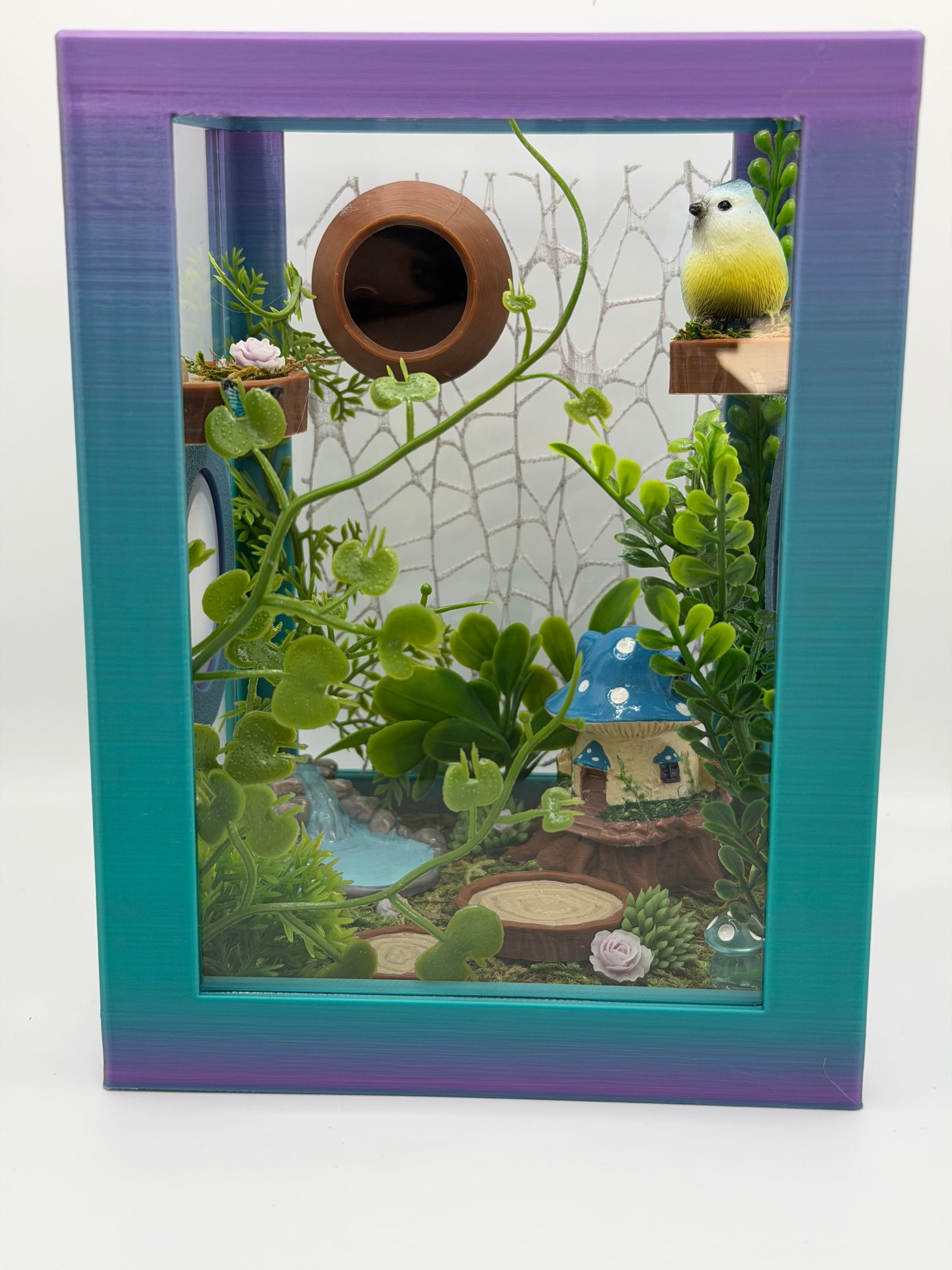 Fairy Hollow Jumping Spider Decorated Enclosure | Habitat