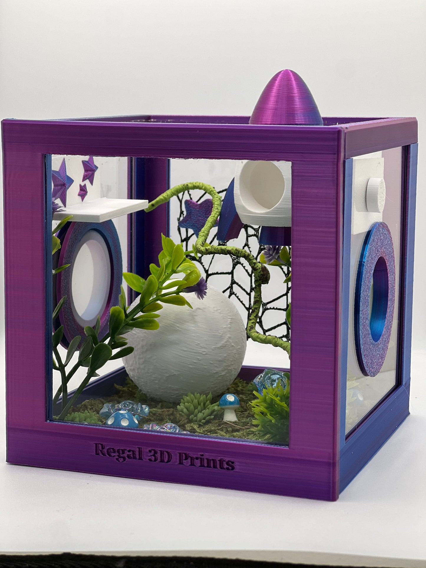 Cosmic Rocket Galaxy Decorated Jumping Spider Enclosure