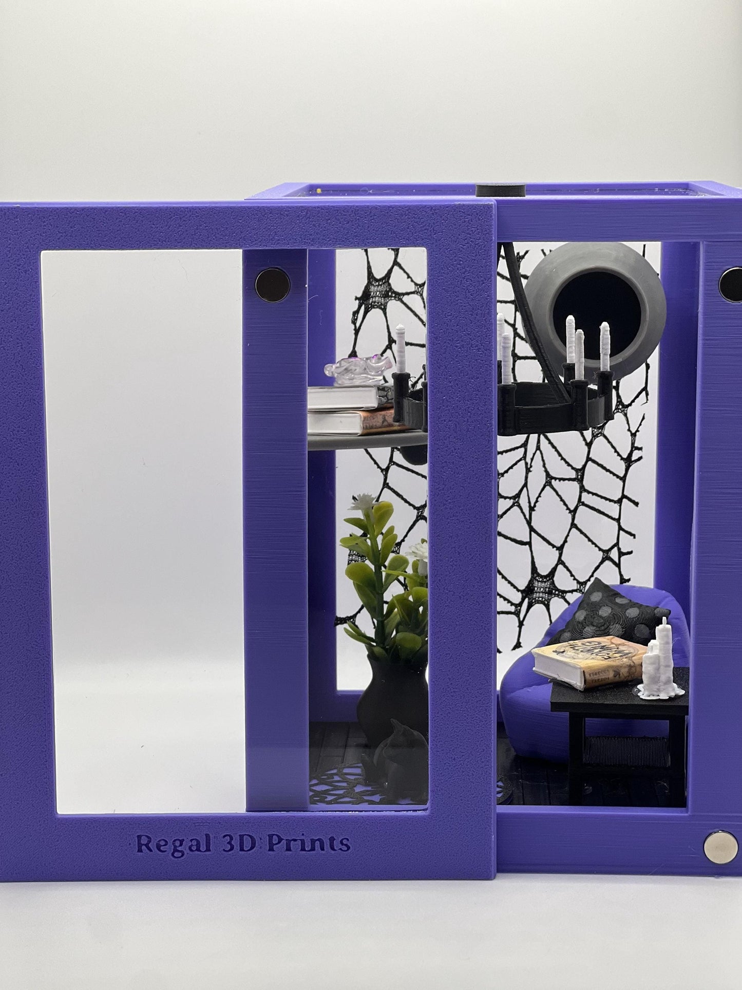 Reading Room Lounge Decorated Jumping Spider Enclosure