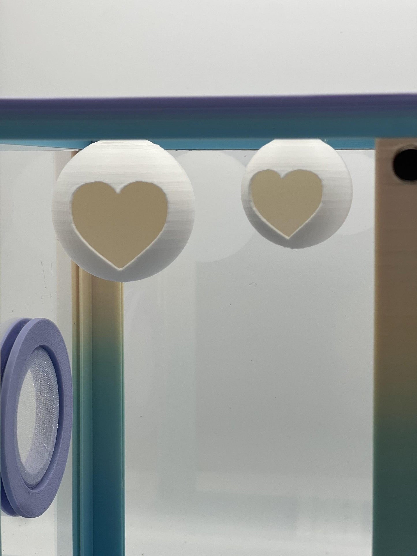 Magnetic Heart Ball Jumping Spider Hides