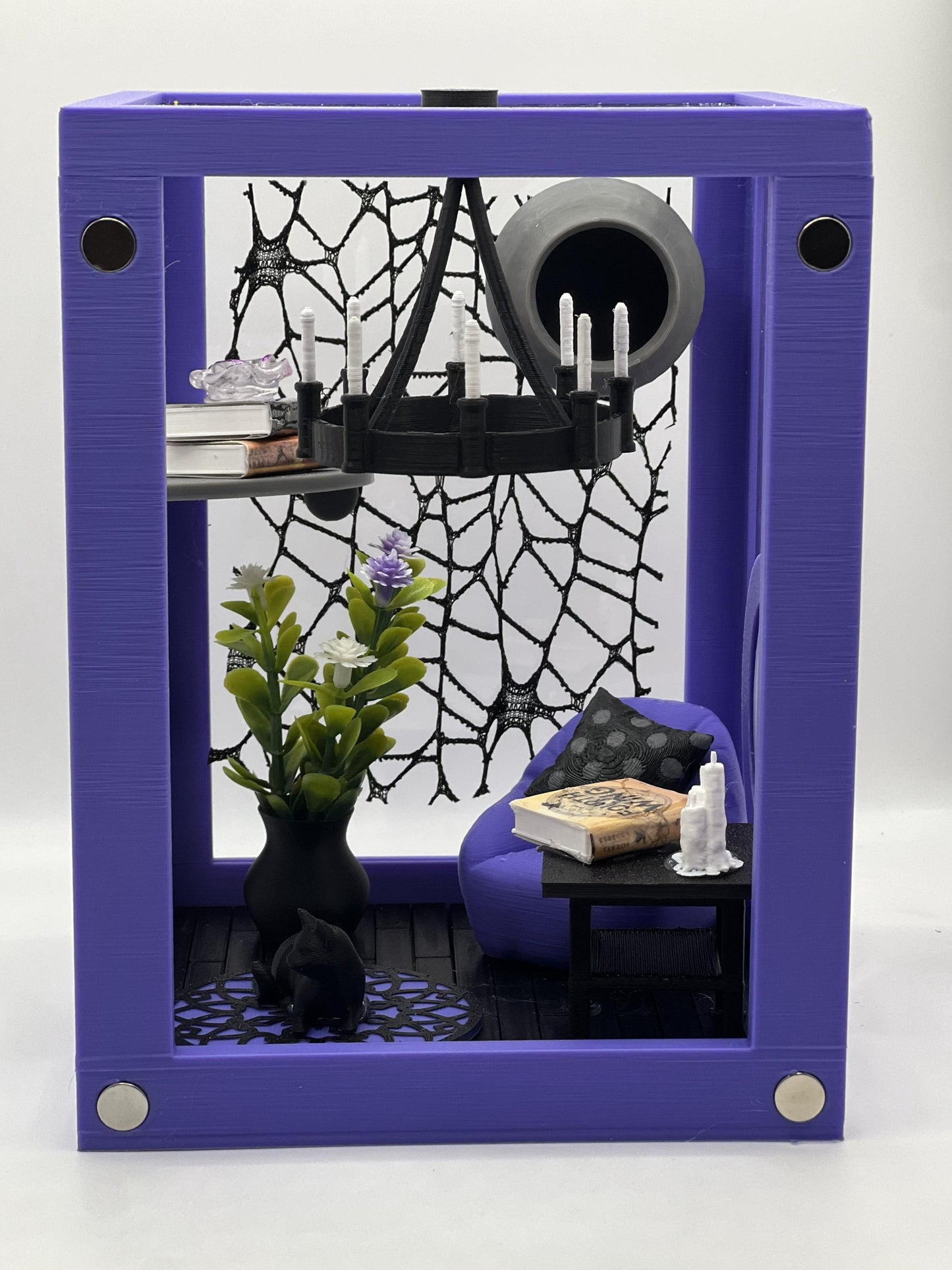 Reading Room Lounge Decorated Jumping Spider Enclosure