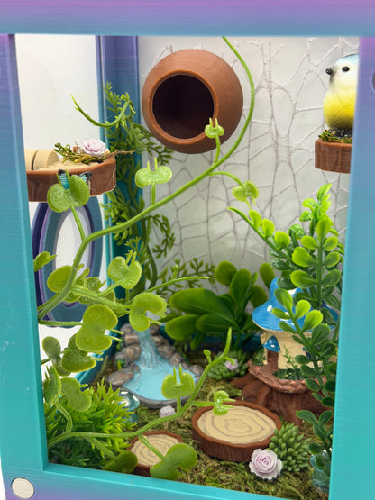 Fairy Hollow Jumping Spider Decorated Enclosure | Habitat