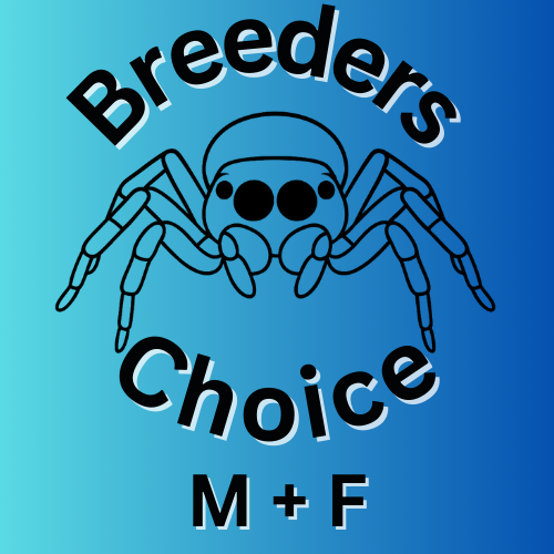 Breeder's Choice (Male & Female)