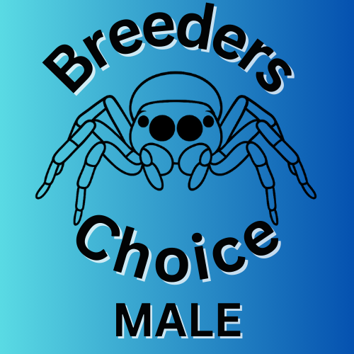 Breeder's Choice (Male)