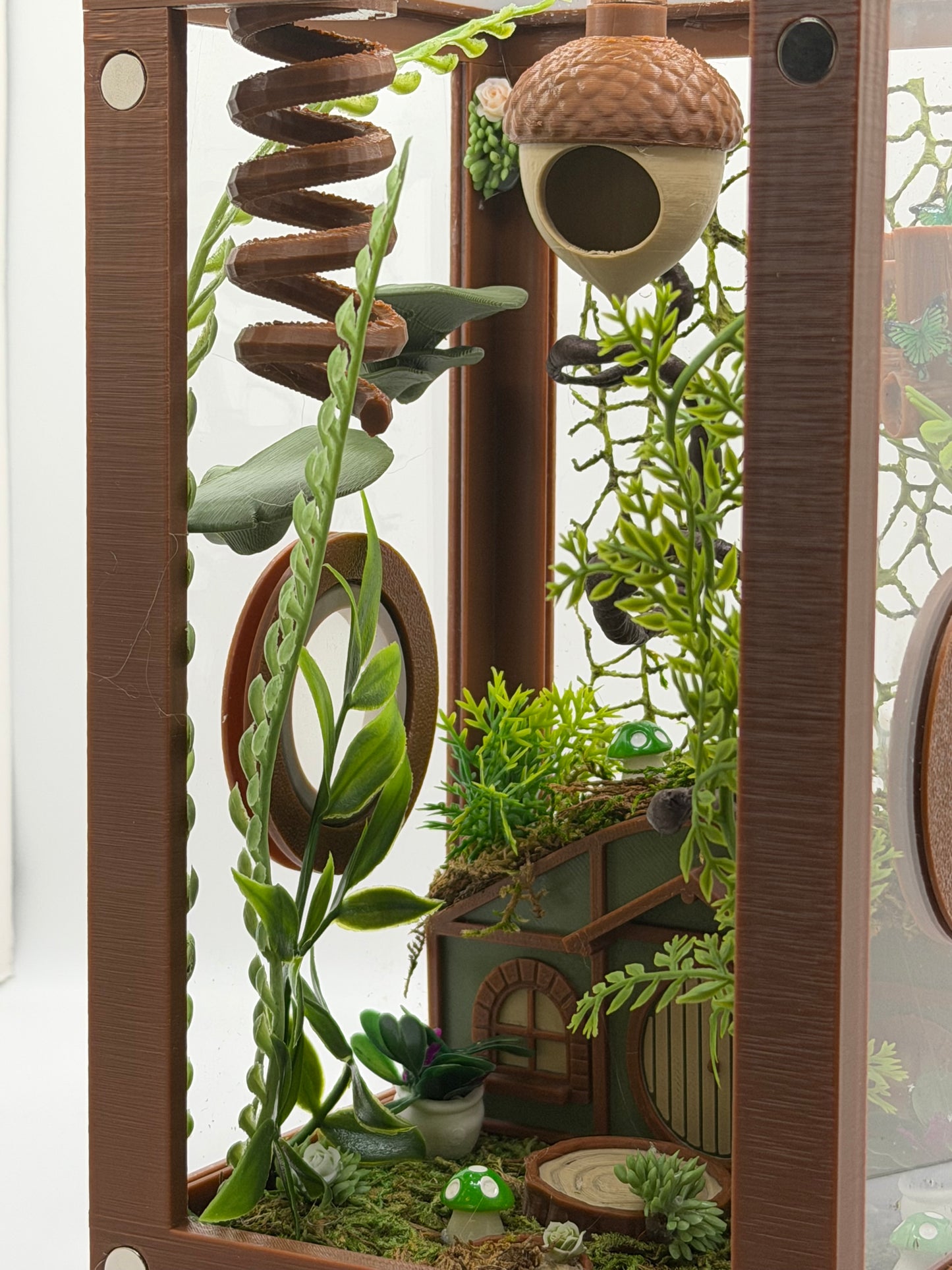 Woodland Cottage Themed Jumping Spider Enclosure | Habitat