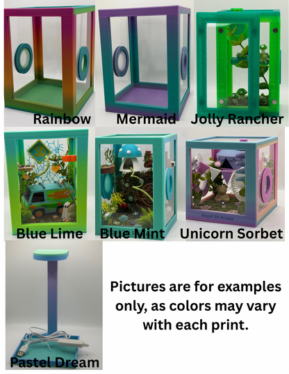 Witchy Altar-Themed Jumping Spider Magnetic Enclosure | Habitat